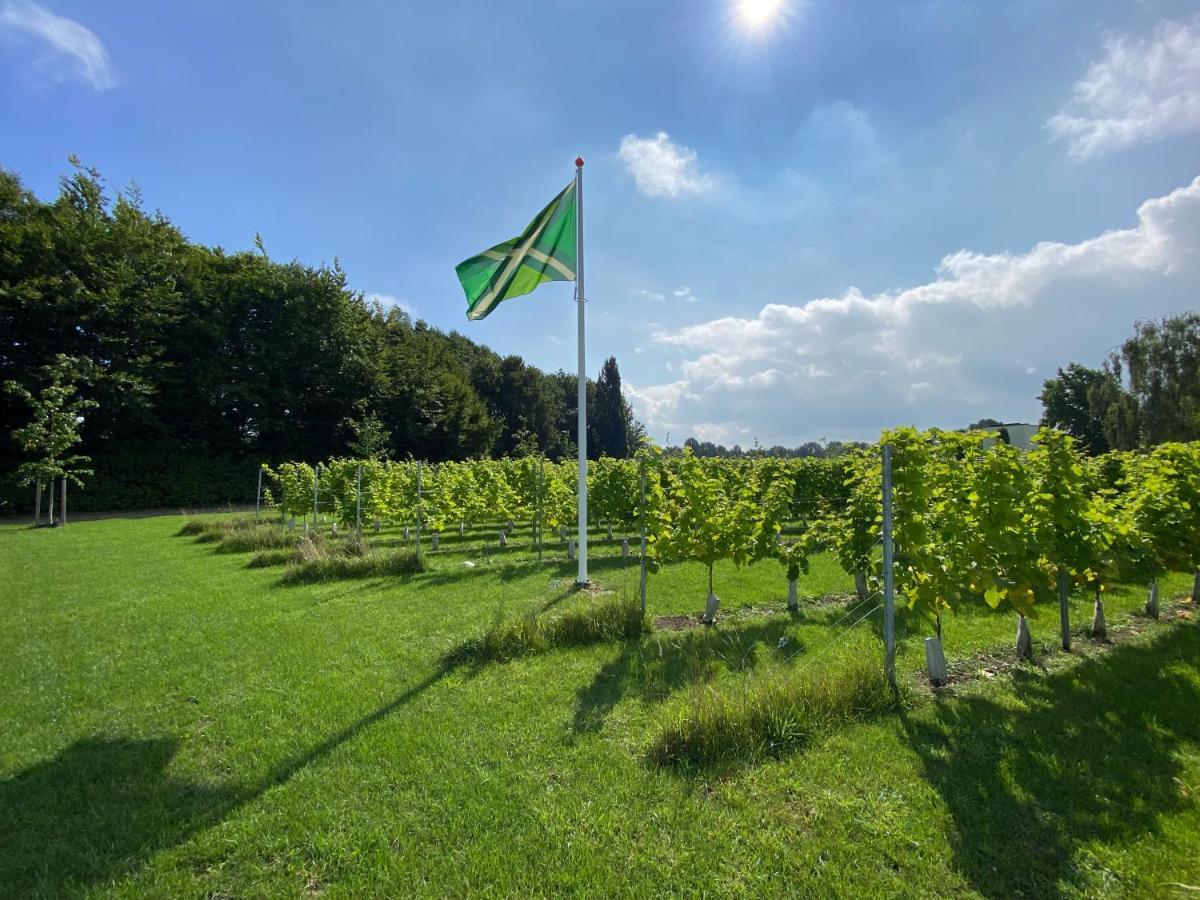 Achterhoeks Goed, Bed & Breakfast In Vragender Zewnętrze zdjęcie