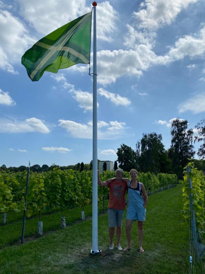 Achterhoeks Goed, Bed & Breakfast In Vragender Zewnętrze zdjęcie