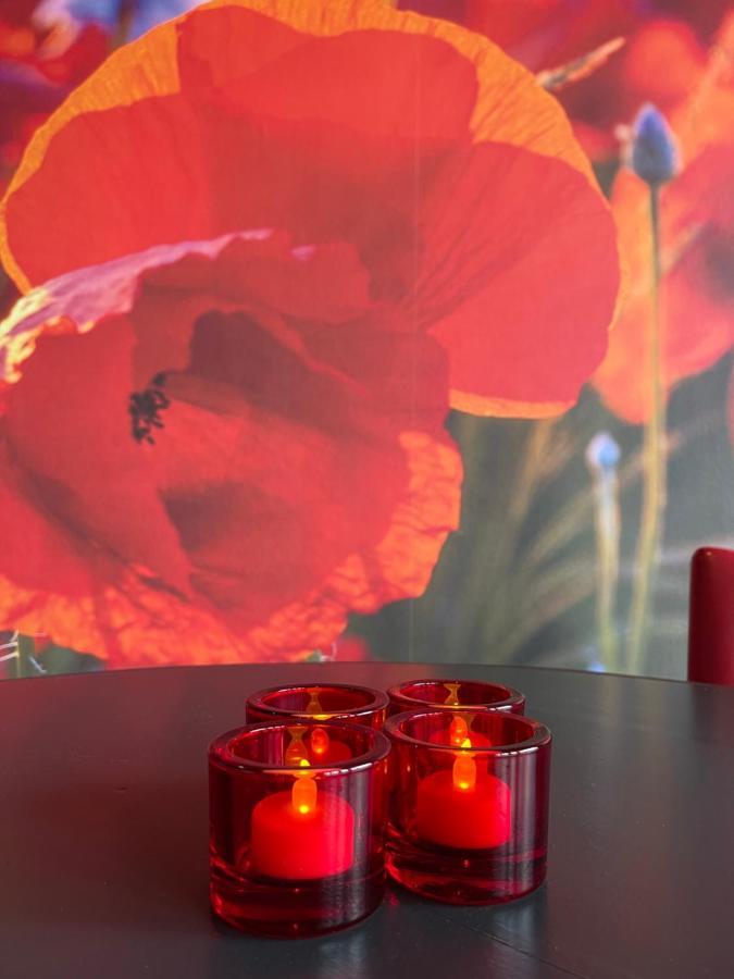 Achterhoeks Goed, Bed & Breakfast In Vragender Zewnętrze zdjęcie