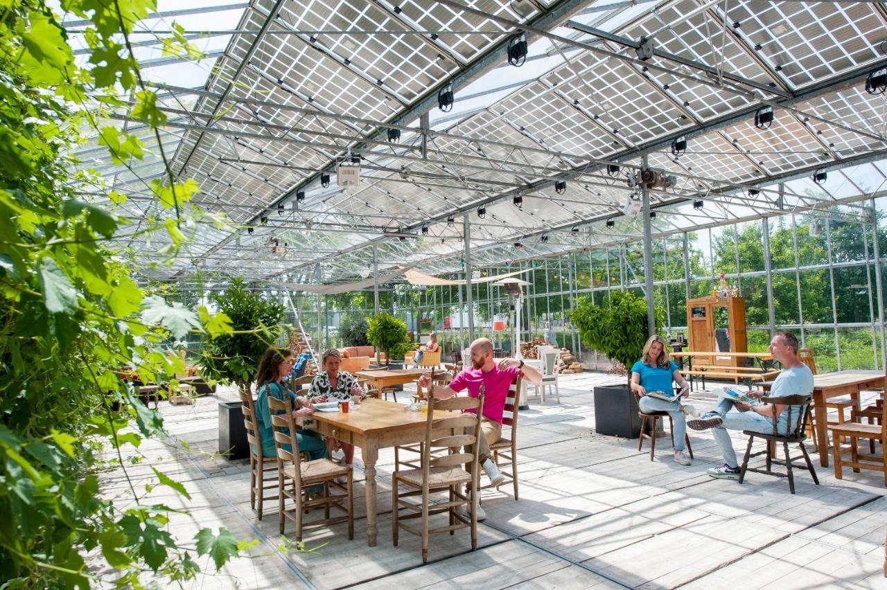 Achterhoeks Goed, Bed & Breakfast In Vragender Zewnętrze zdjęcie