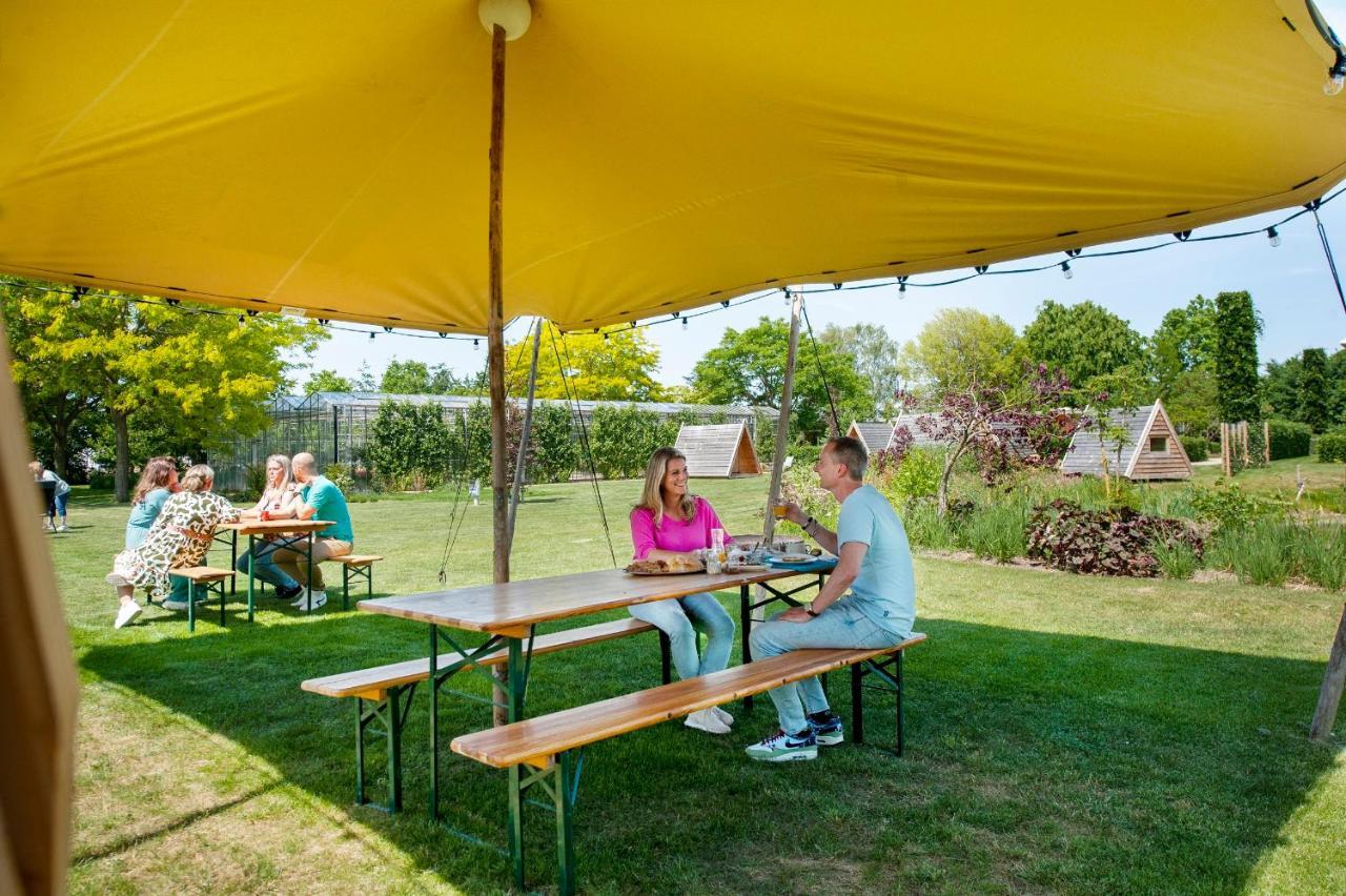Achterhoeks Goed, Bed & Breakfast In Vragender Zewnętrze zdjęcie