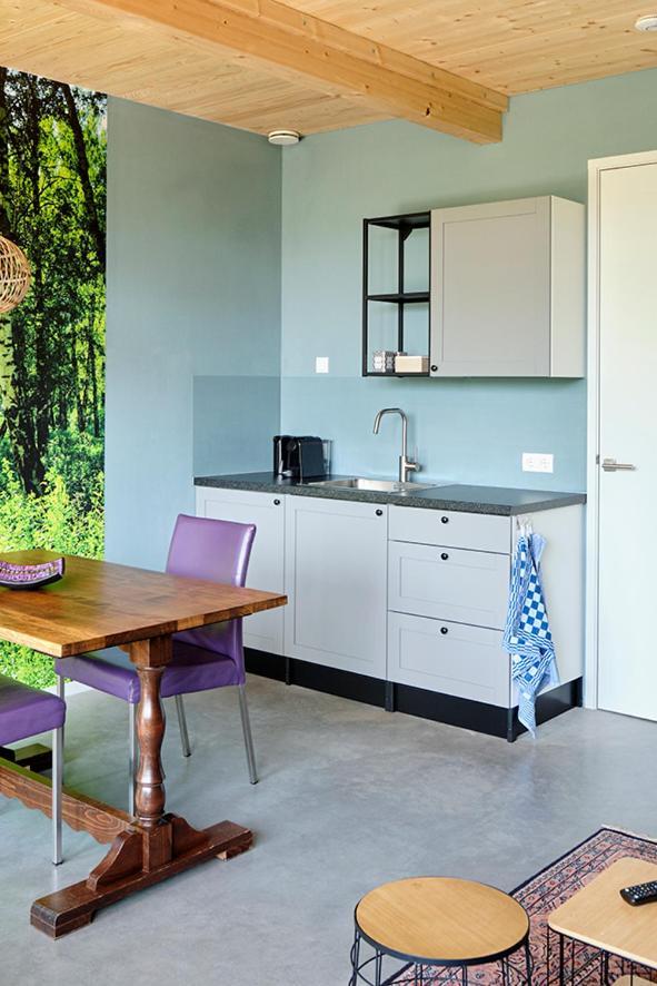 Achterhoeks Goed, Bed & Breakfast In Vragender Zewnętrze zdjęcie